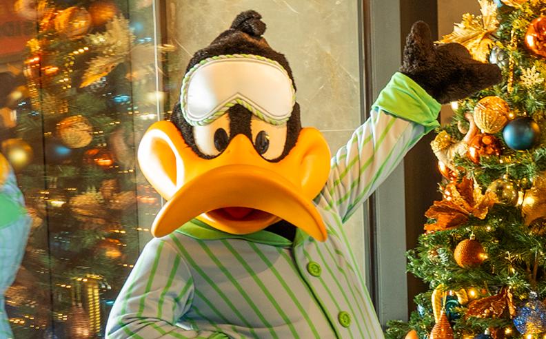 Festive Brunches & New Year’s Eve Celebrations