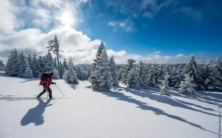 Germany in Winter: Festive Markets, Snowy Escapes, and a Refined European Lifestyle