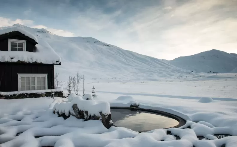 Deplar Farm والمغامرة الراقية