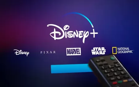 تجربة مشاهدة بدون تشتيت: كيف تجمع Disney Plus بين العالمي والعربي