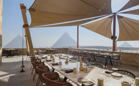 Beyond the Plate: Lifestyle Dining Experiences Redefining Cairo