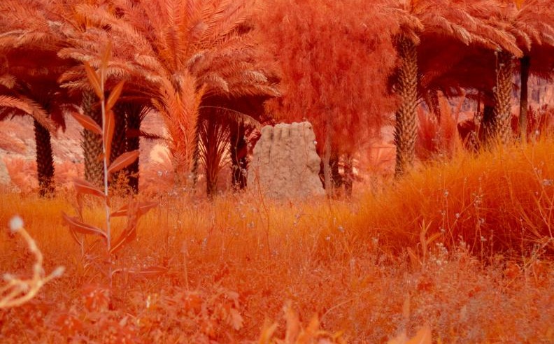 Artistic direction and curatorial concept