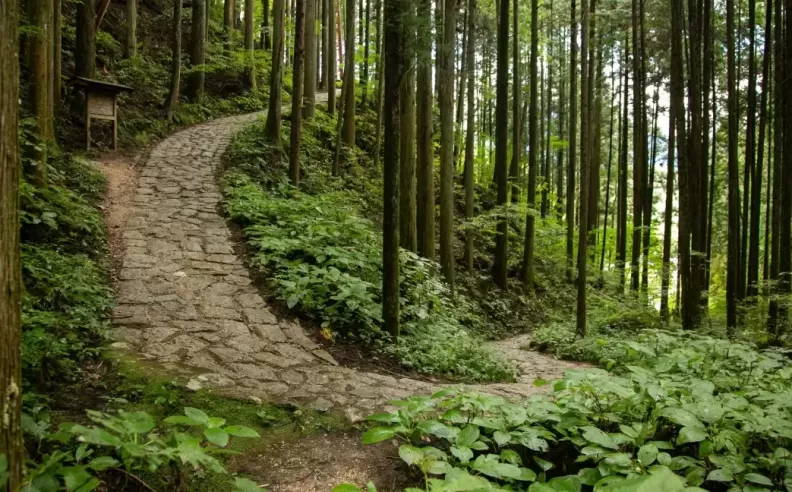 A Historic Route Through the Heart of Japan