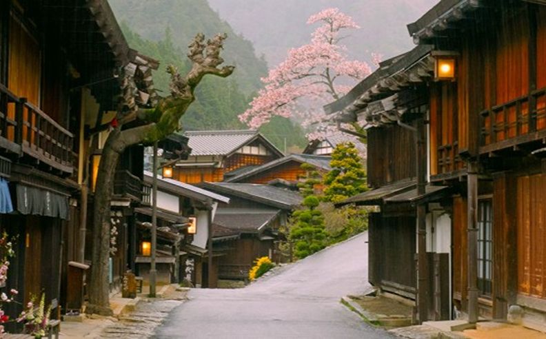 منتجع شيغا كوغين: مناظر ألبية وجمال موسمي