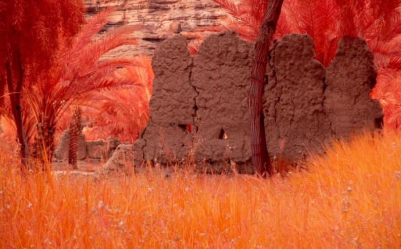 Artists’ Unique Commissions and Inspirations