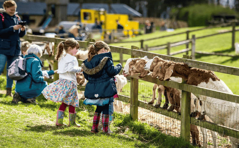 Field to fork dining experiences