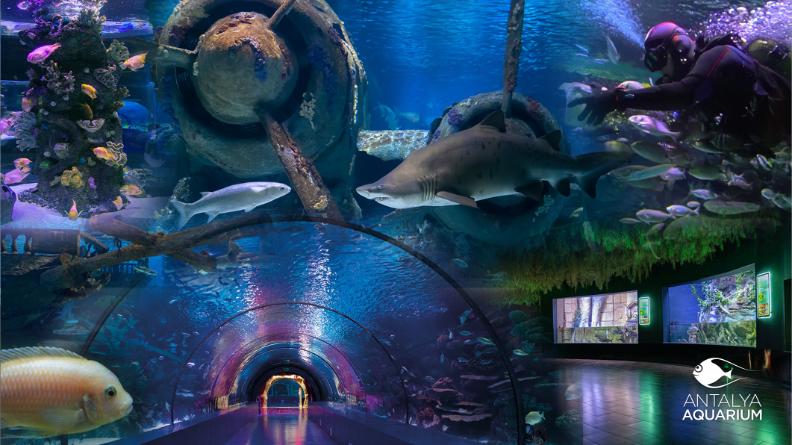 Antalya Attractions for All Ages