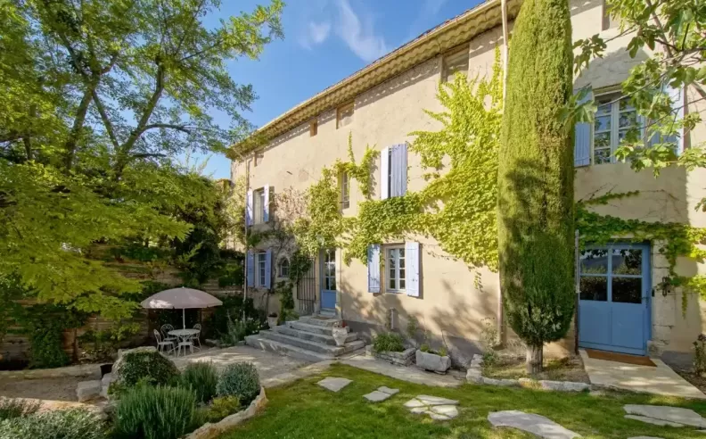 Lavender Bloom, Saint-Martin-de-Castillon, Vaucluse