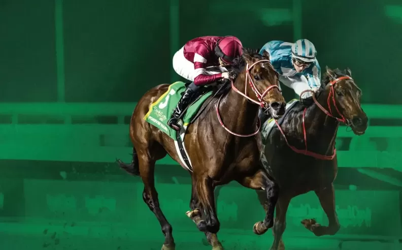 الرياضة والترفيه في قلب المدن