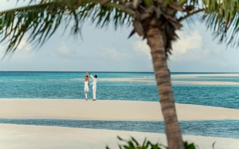 تناغم مع الطبيعة البحرية