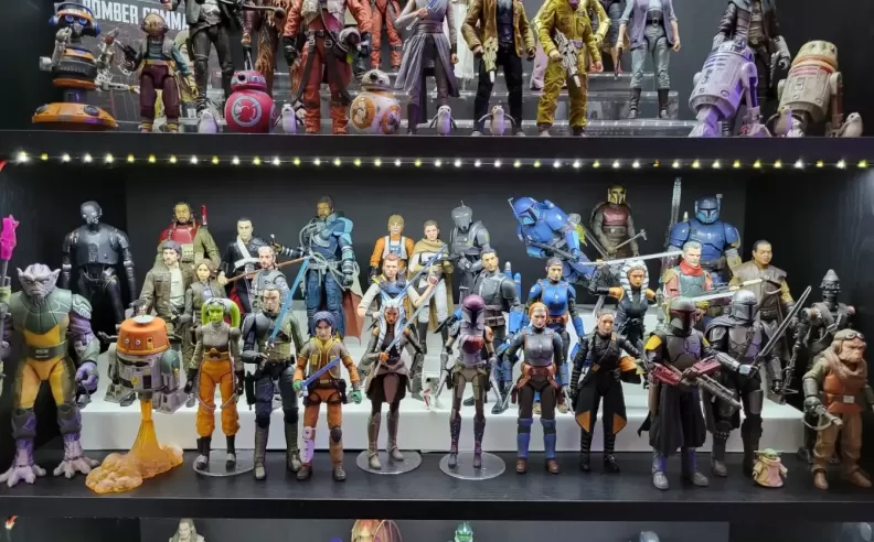 الاقتناء بين الشغف والاستثمار