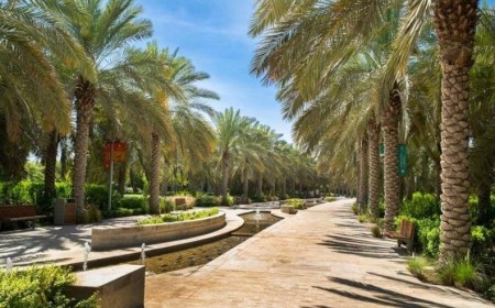 The Cove House Unveils a New Wonderland Experience at Umm Al Emarat Park