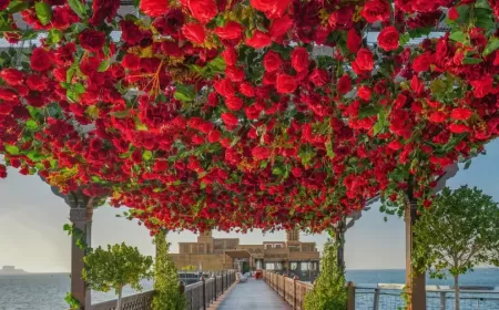 Valentine’s Day 2026 at Jumeirah: Luxury Dining Experiences Worth Planning For