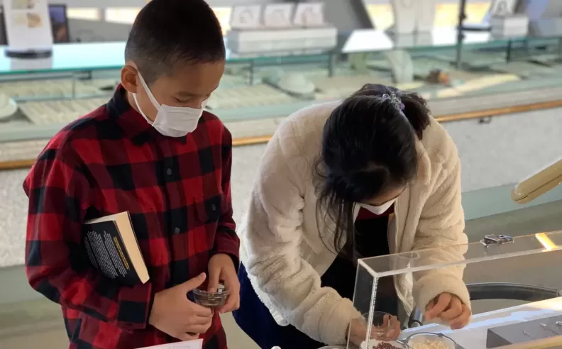 صناعة مجوهرات اللؤلؤ في ميه