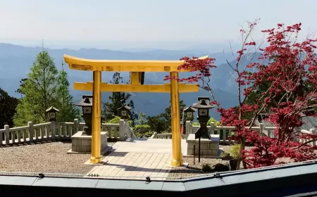 Tokai Japan A Refined Journey Through Tea Rituals and Timeless Craft