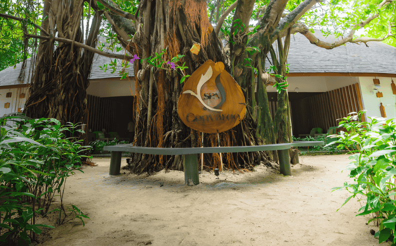 The Banyan Tree Ceremony at Machchafushi Island