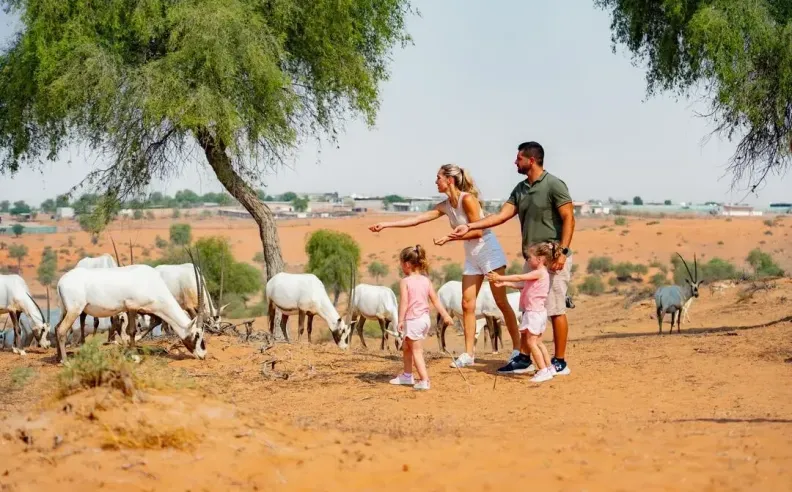 A Private Desert Retreat with Elevated Experience
