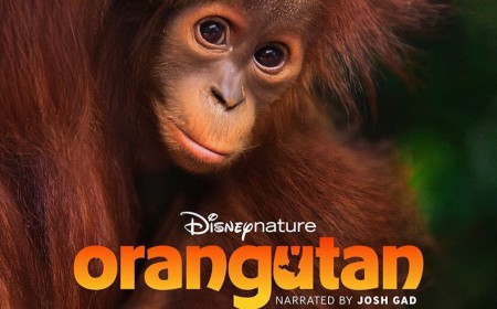 Earth Month Collection: Discover the Wonders of Our Planet on Disney+