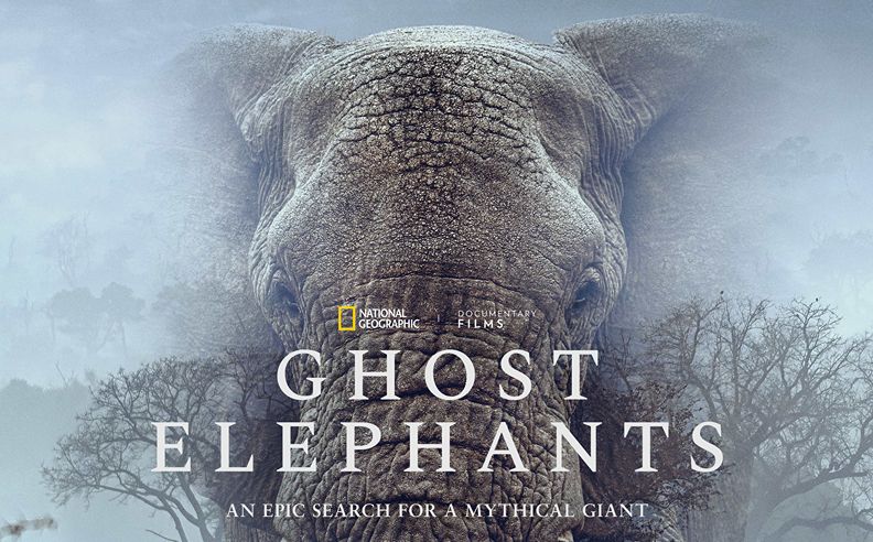 Earth Month Watchlist on Disney+