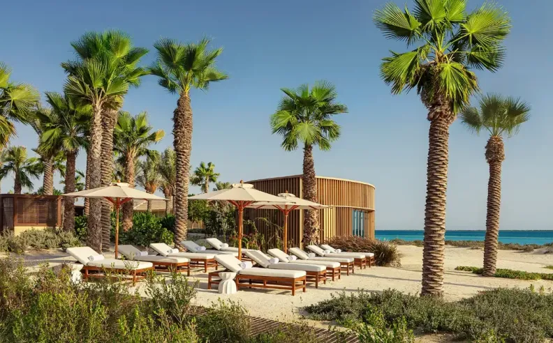 A Balanced Lifestyle Between Calm and Energy