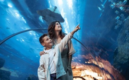 Stay in a Suite, Save More: A Luxurious City Retreat Above Downtown Dubai