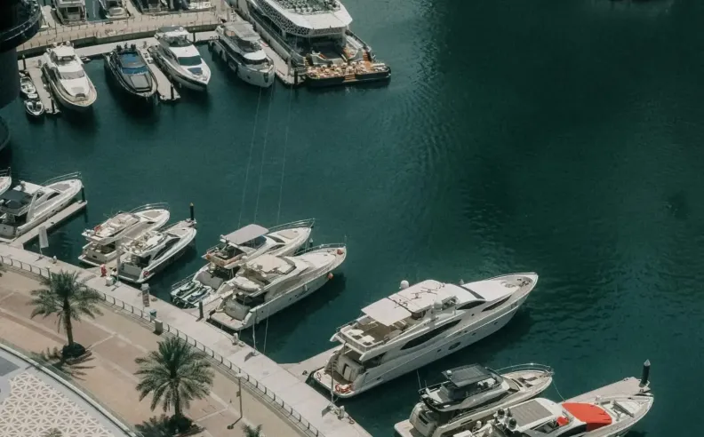 The Mediterranean Holds Its Ground