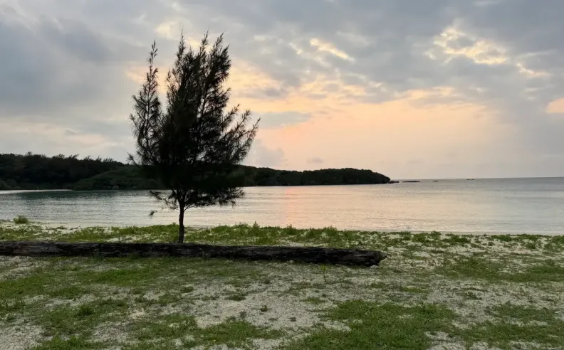 Romantic moments under the sunset and stars