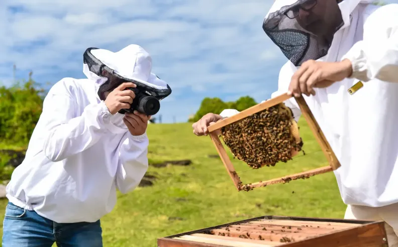 ملاذ طبيعي لأكثر من 700 ألف نحلة